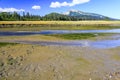 Alaska Brown Bear Tracks Silver Salmon Creek Lake Clark National Park Royalty Free Stock Photo