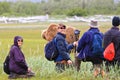 Alaska Brown Bear Viewing Group in Katmai