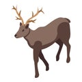 Alaska deer icon isometric vector. Nature map