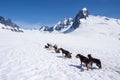 Alaska - Dog Sledding Adventure