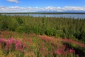 Panorama of the Matanuska River Royalty Free Stock Photo