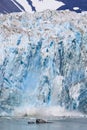 Alaska Glacier Ice Calving