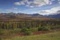 Alaska Glennhighway in autumn