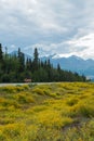 The Alaska Highway running north from Haines Junction, Yukon, Canada Royalty Free Stock Photo