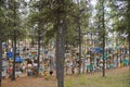 Alaska Highway Sign Forest