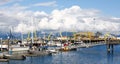 Alaska - Homer Boat Harbor Fishing Fleet