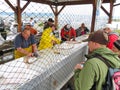 Alaska - Homer Halibut Fish Cleaning Station