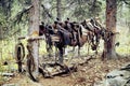 Saddle rack Royalty Free Stock Photo