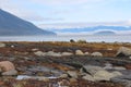 Alaska Island Coast with Fog