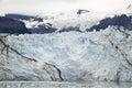 Alaska - Johns Hopkins Glacier