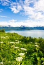 Alaska - Kenai Peninsula Kachemak Bay Royalty Free Stock Photo