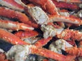 Alaska King crab Royalty Free Stock Photo