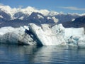 Alaska - landscape Royalty Free Stock Photo