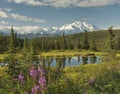 Alaska landscape with a clear Denaili