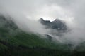 Alaska landscape with forest, river, fog above the forest and mountains