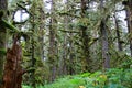 Alaska, landscape of Kodiak Island, United States