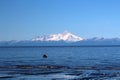 Alaska landscape- Mount Iliamna