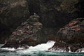 Alaska landscape with Steller Sea Lions Royalty Free Stock Photo