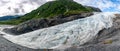 Alaska Mendenhall Glacier View landscape Royalty Free Stock Photo