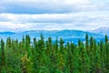 Alaska mountain range and forest, Pacific north west, Denali National Park, Mountain landscape Royalty Free Stock Photo