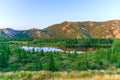 Alaska mountain range and forest, Pacific north west, Denali National Park, Mountain landscape Royalty Free Stock Photo