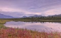 Alaska: Mountan Lake Reflection Royalty Free Stock Photo