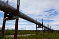 Alaska oil pipeline Royalty Free Stock Photo
