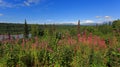 Panoramic view in the Denali National Park