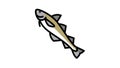 alaska pollock color icon animation