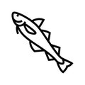 alaska pollock line icon vector illustration