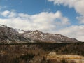 Alaska Railroad Train in Denali National Park