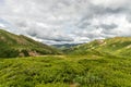 Alaska`s Denali National Park Tundra Landscape Royalty Free Stock Photo