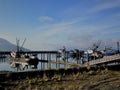 Alaska salmon tenders docked in King Cove, AK