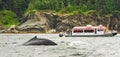Alaska - Small Boat Humpback Whale Watching Royalty Free Stock Photo
