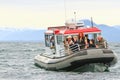 Alaska - Small Boat Whale Watching 2