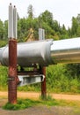 Alaska - Trans-Alaska Pipeline Support System Royalty Free Stock Photo