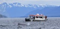 Alaska - Whale Chasing Small Boat