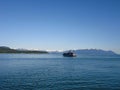 Alaska Whale Watching - Alaska Marine Mammal Images