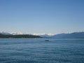 Alaska Whale Watching - Alaska Marine Mammal Images