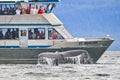 Alaska - Whale Watching Tail Up Close!