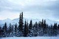 Alaska Winter Landscape Royalty Free Stock Photo