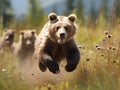 Ai Generated illustration Wildlife Concept of Alaskan brown grizzly bear cub running danger Royalty Free Stock Photo