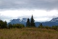 Alaskan fire weed ending its season