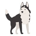 Alaskan husky icon cartoon vector. Siberian dog