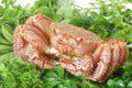 Alaskan king crab Royalty Free Stock Photo
