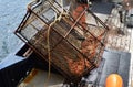 Alaskan King Crab Caught in Pot Royalty Free Stock Photo