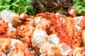 Alaskan king crab Royalty Free Stock Photo