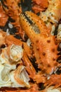 Alaskan king crab Royalty Free Stock Photo