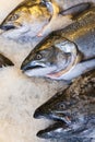 Alaskan King Salmon Fish on Ice Fishmongers Market Royalty Free Stock Photo