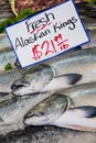 Alaskan King Salmon for Sale in Fishmongers or fish market Royalty Free Stock Photo